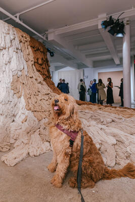 The experience centered around a dramatic, larger-than-life yarn installation created in collaboration with multidisciplinary artist Carla Cascales Alimbau