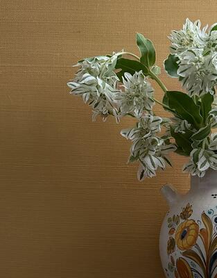 Gilded Ochre grasscloth wallpaper from the Fable collection (GRASS-FC0022-Yard)