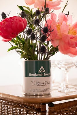 Colette van den Thillart's office worked with Benjamin Moore on the party decor