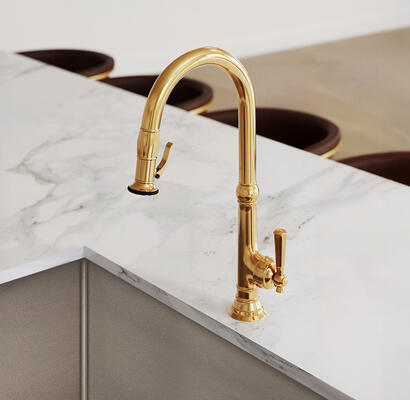 Jacobean kitchen trigger-spray faucet (2470–5183) in Forever Brass (01)