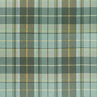 Scot’s Plaid in Sage