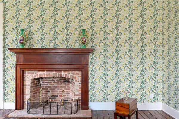 Nikko Matcha Walllpaper in situ