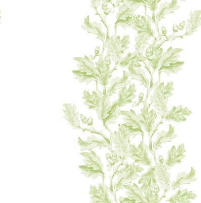 Liana wallpaper in Spring