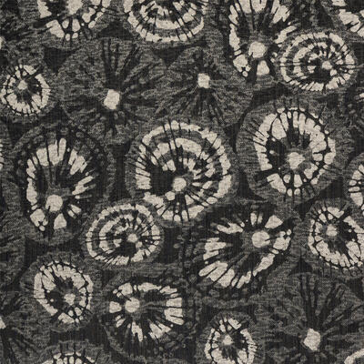 Erizo De Mar in Petro