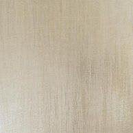 Metazilled Plain Wallcovering in Champagne 