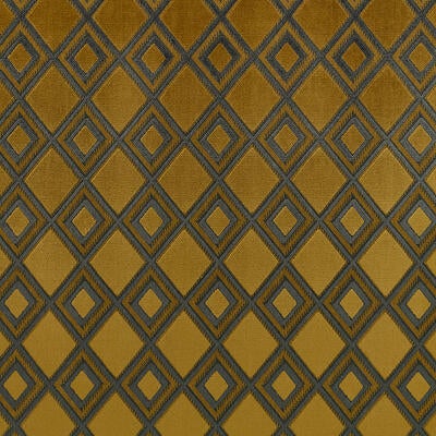 Brent in Jewel Beetle