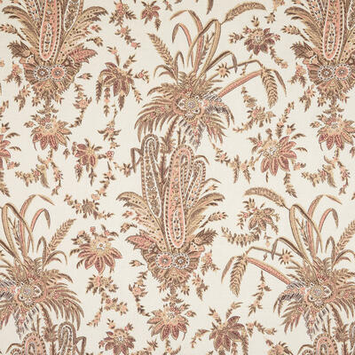 Srinagar in Toast & Salmon on Parchment