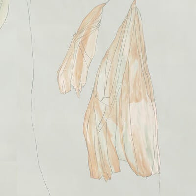 Alae hand-painted wallcovering in Radiant