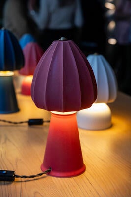 Hwang Bishop’s Bloom table lamp with Matte Lava Glow base and Matte Crowberry shade