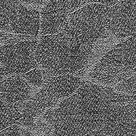 Vena fabric in Black