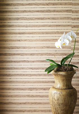 Seta Rigata wallcovering