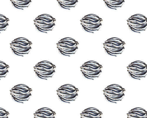Anchovy Dots by Mary Jo Hoffman