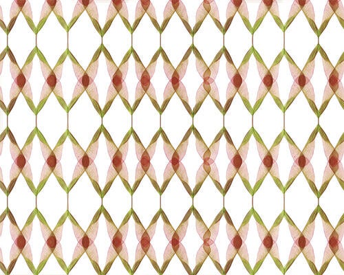 Maple Seed Argyle by Mary Jo Hoffman