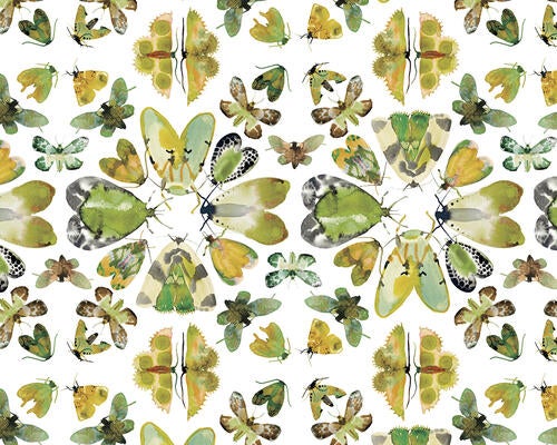 Moths in Green by Jeralyn Victoria