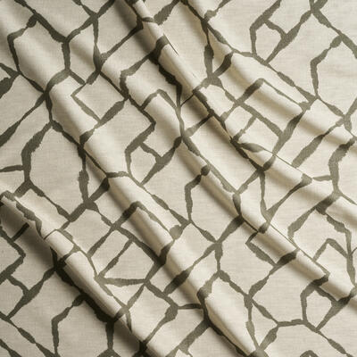 Asante: Compass 4 Jungle


