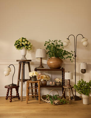 The Ribchester and Farington lighting collections