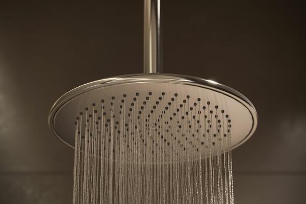 Round showerhead in Polished Nickel PVD (15P) finish