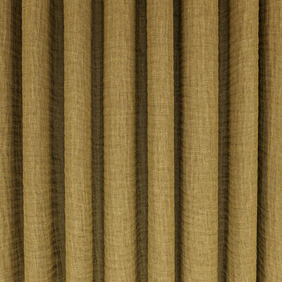 Warp in Fern